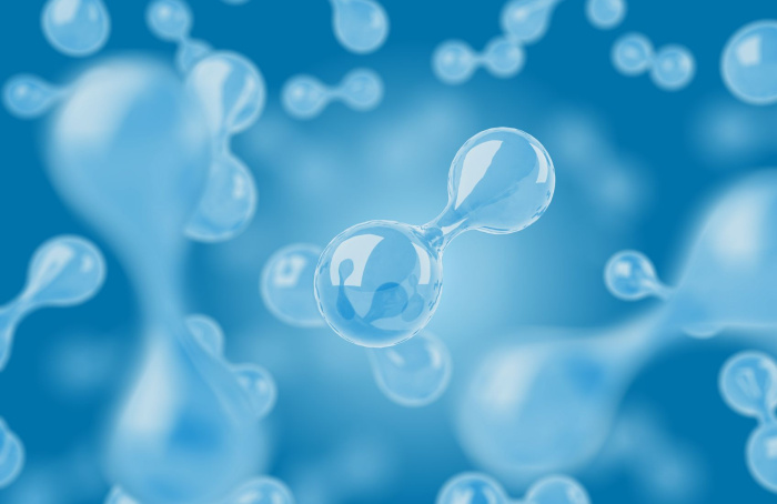 Copyright: DIE GAS- UND WASSERSTOFFWIRTSCHAFT